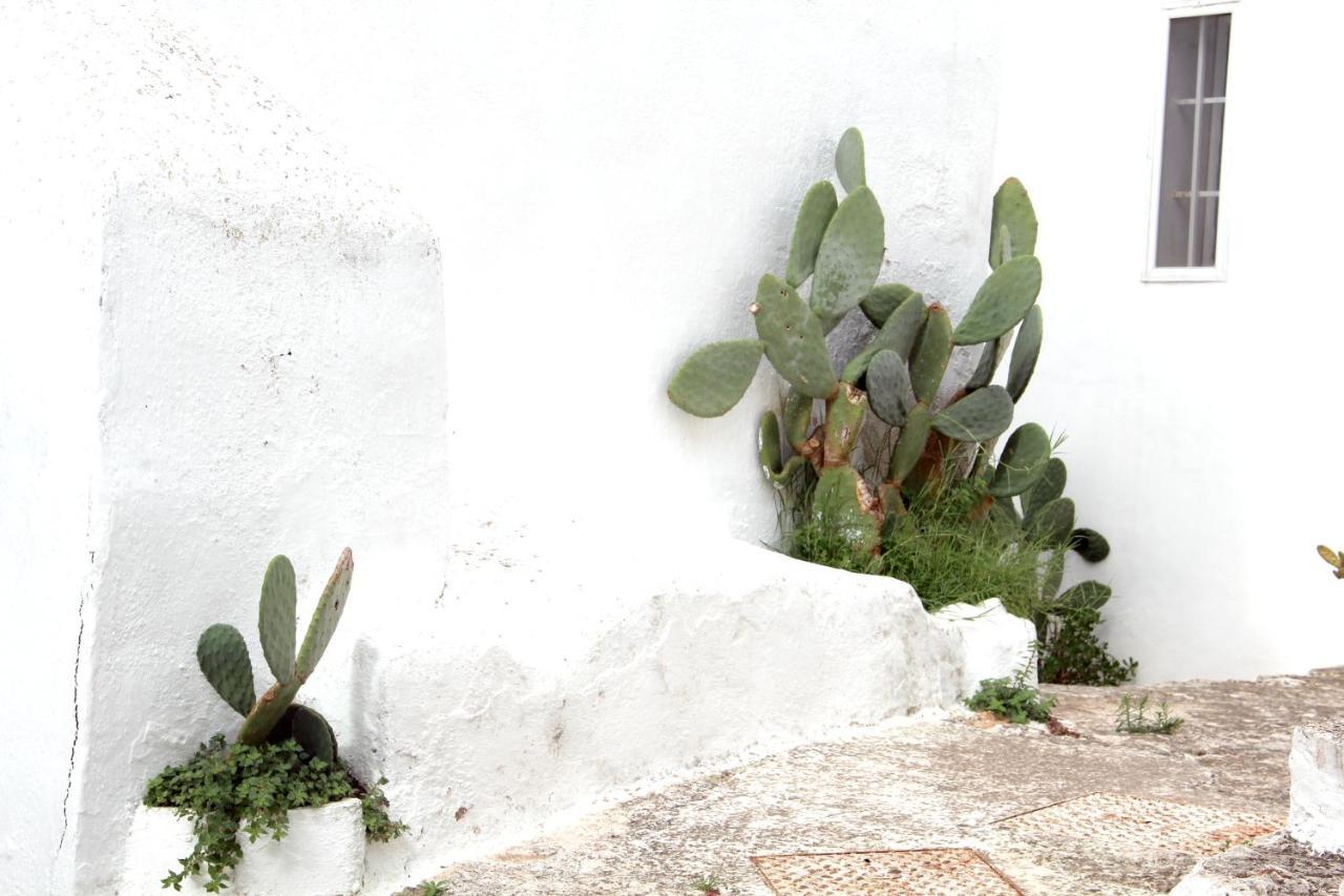 Monolocale Ilporticciolovacanze Villanova di Ostuni Luaran gambar